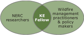 Fellow's role